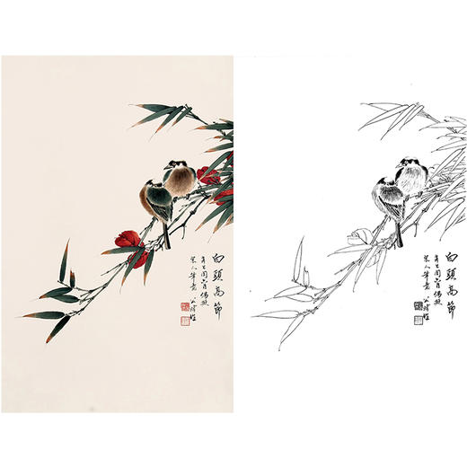 田世光工笔竖幅花鸟白描底稿-SG22 商品图0