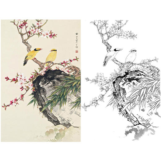 田世光工笔竖幅花鸟白描底稿-SG23 商品图0