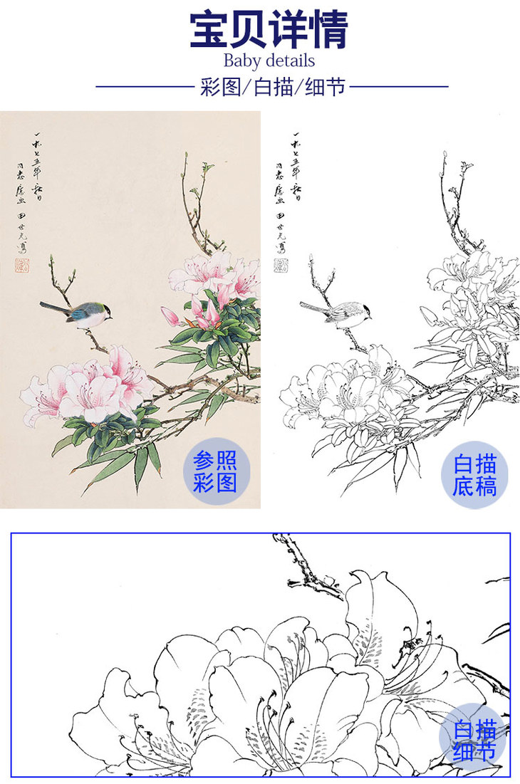 田世光工笔竖幅花鸟白描底稿-sg25 - 工笔画底稿商城