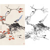 田世光工笔竖幅花鸟白描底稿-SG24 商品缩略图0