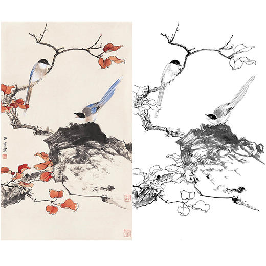田世光工笔竖幅花鸟白描底稿-SG24 商品图0