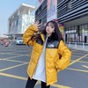 联名款 北面羽绒棉皮衣 羽绒棉服(420g充绒) 商品缩略图2