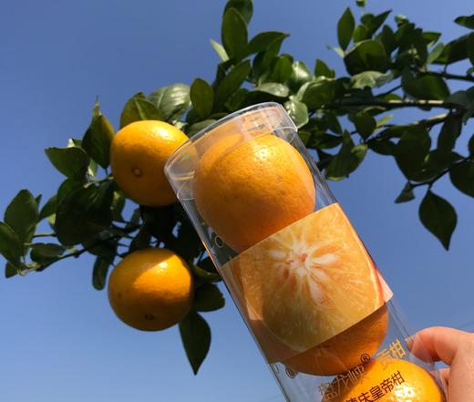 盘龙峡贡柑 小筒装 轻便直观开盖即食装 商品图3