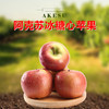 【新春特惠】阿克苏红旗坡核心产区冰糖心苹果（快递停发）） 商品缩略图2