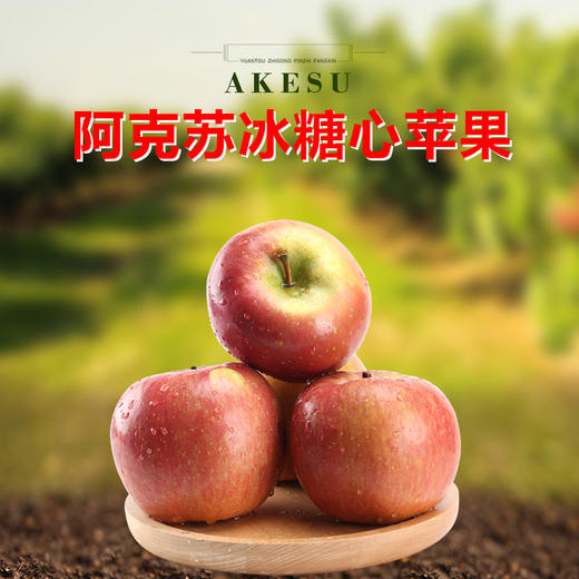 【新春特惠】阿克苏红旗坡核心产区冰糖心苹果（快递停发）） 商品图2
