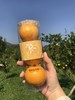 盘龙峡贡柑 小筒装 轻便直观开盖即食装 商品缩略图2