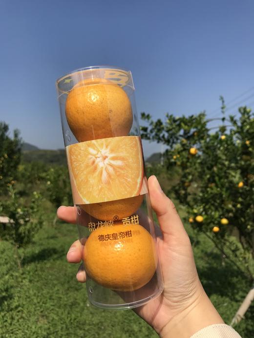 盘龙峡贡柑 小筒装 轻便直观开盖即食装 商品图2