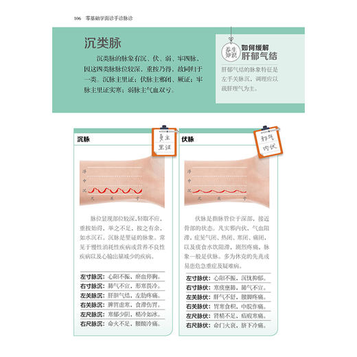 《零基础学面诊手诊脉诊》附赠专家讲解高清视频！ 商品图6