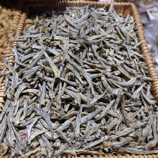金钱鱼  40元/500g 商品图0