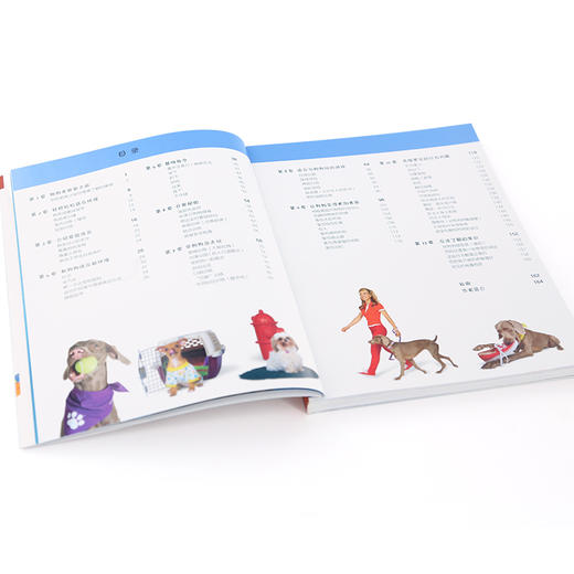 凯拉·桑德斯狗狗训养系列--新手训狗，一本就够了 商品图3