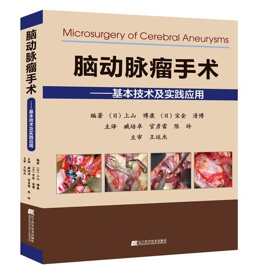 《脑动脉瘤手术——基本技术及实践应用》（日）上山博康 （日）宝金清博 编著 商品图0