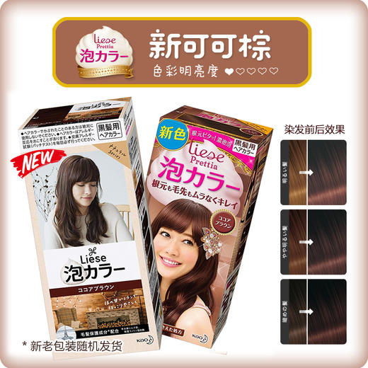 日本花王liese莉婕Prettia泡沫染发剂 颜色备注 商品图4