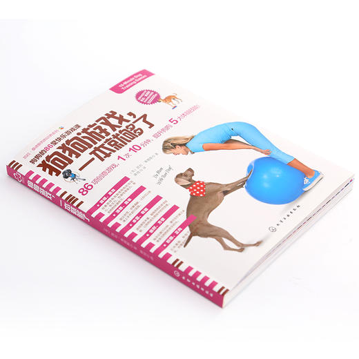 凯拉·桑德斯狗狗训养系列--狗狗游戏，一本就够了 商品图2