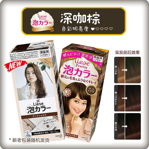 日本花王liese莉婕Prettia泡沫染发剂 颜色备注 商品图9