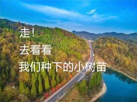 【93车友冬游季】大“橘”为重-千岛湖蜜橘采摘