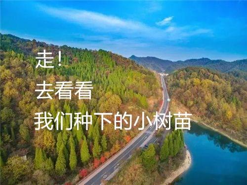 【93车友冬游季】大“橘”为重-千岛湖蜜橘采摘 商品图0