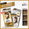 日本花王liese莉婕Prettia泡沫染发剂 颜色备注 商品缩略图2