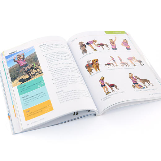 凯拉·桑德斯狗狗训养系列--新手训狗，一本就够了 商品图2