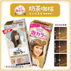 日本花王liese莉婕Prettia泡沫染发剂 颜色备注 商品缩略图5