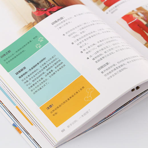 凯拉·桑德斯狗狗训养系列--新手训狗，一本就够了 商品图1