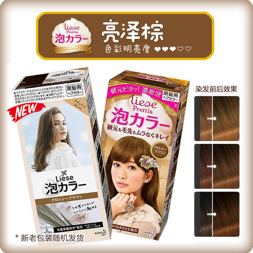 日本花王liese莉婕Prettia泡沫染发剂 颜色备注 商品图7