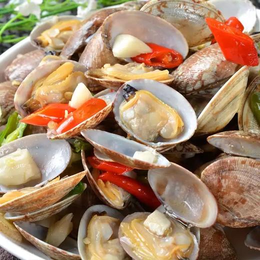 冰鲜蛤蜊 花甲吐沙干净 贝类海鲜 商品图4