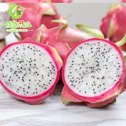 精品白心火龙果 商品图1