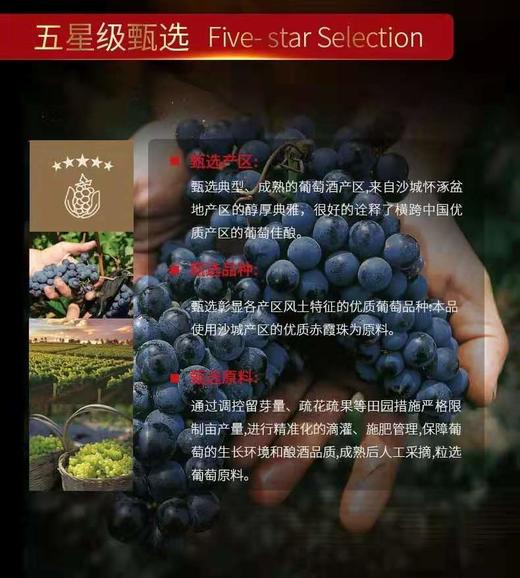 长城五星赤霞珠干红葡萄酒750ml*1盒 商品图7