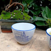 古瓷文革茶杯（花色随机） 商品缩略图0