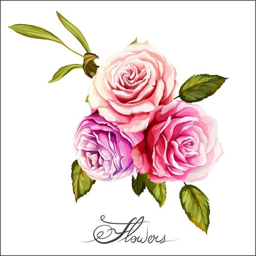 商品模版 商品图0