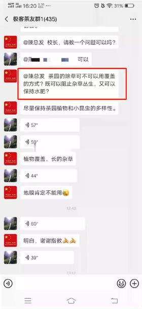 茶园的除草可以用覆盖的方式吗？