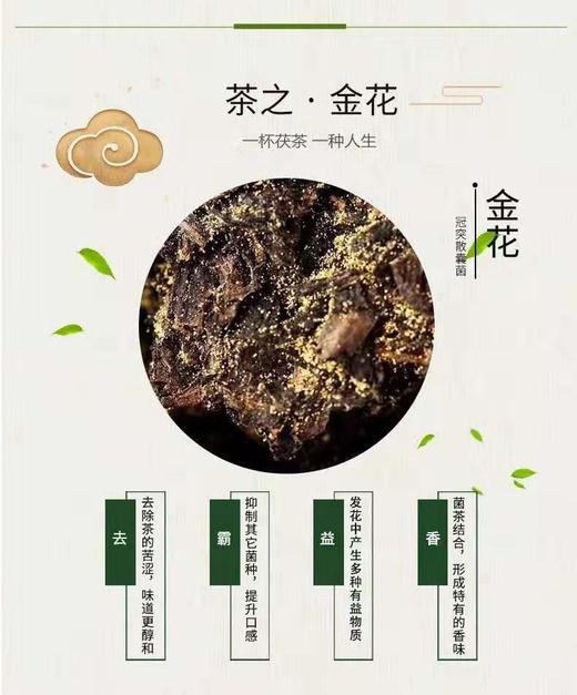 泾渭茯茶陕西官茶3kg黑茶 商品图8
