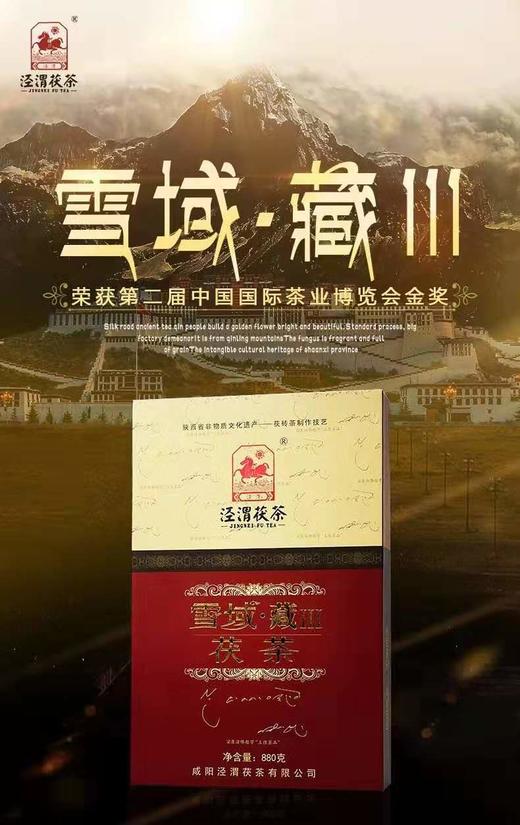 陕西泾渭茯茶雪域Ⅲ   880克黑茶 商品图4