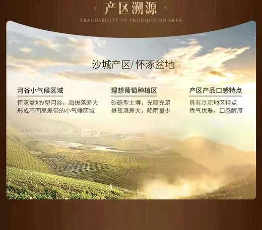 长城一星解百纳干红葡萄酒单支750ml 商品图9