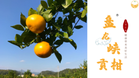 致还未认识“我”的你