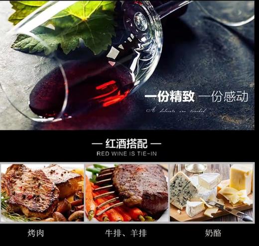 长城二星蛇龙珠干红葡萄酒单支750ml 商品图6