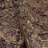 泾渭茯茶陕西官茶3kg黑茶 商品缩略图4