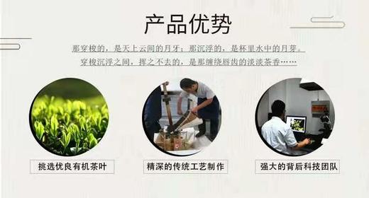 泾渭茯茶陕西官茶3kg黑茶 商品图7
