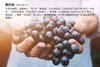 长城一星解百纳干红葡萄酒单支750ml 商品缩略图7
