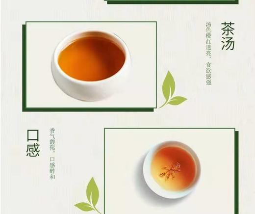 泾渭茯茶陕西官茶3kg黑茶 商品图10