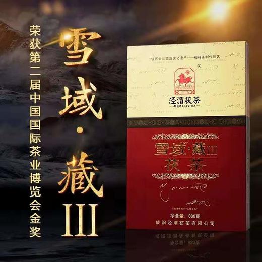 陕西泾渭茯茶雪域Ⅲ   880克黑茶 商品图0