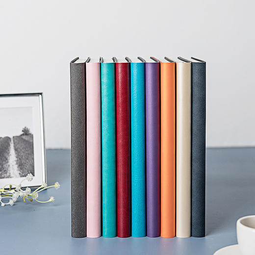 2020效率手册下半年学习计划目标人生效率手册笔记本日历记事本商务工作手杖本计划本工作学习日程本定制logo 商品图1