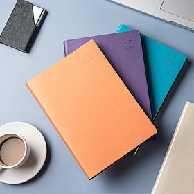 2020效率手册下半年学习计划目标人生效率手册笔记本日历记事本商务工作手杖本计划本工作学习日程本定制logo