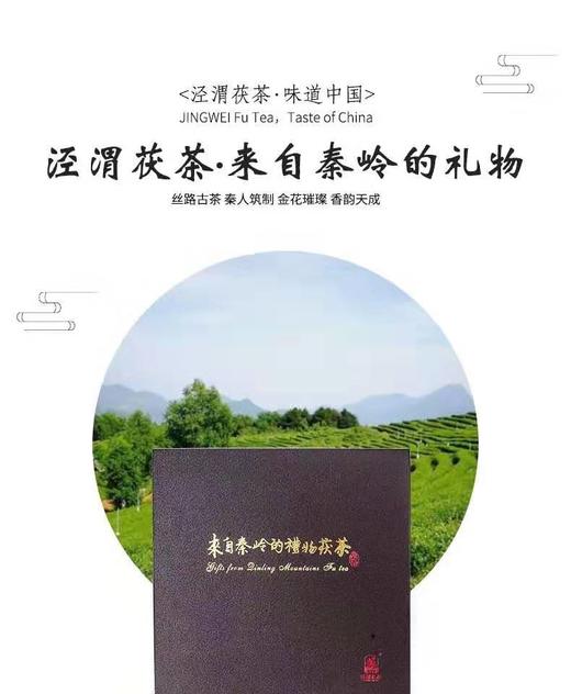 泾渭茯茶来自秦岭山的礼物200g*4茯茶礼盒 商品图3