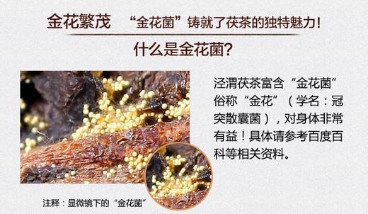 泾渭茯茶秦岭之巅850g黑茶   茯砖茶 商品图5