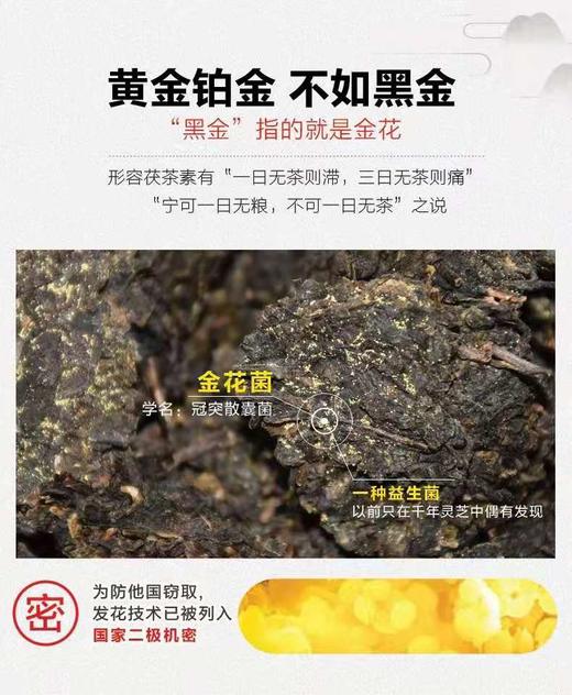 茯多多850克黑茶茯砖茶 商品图8
