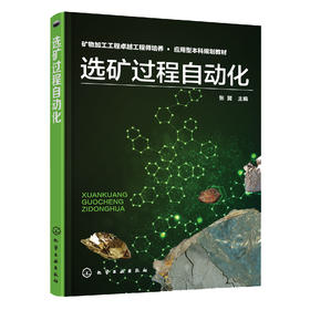 选矿过程自动化