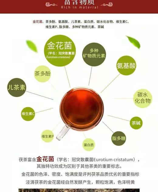 泾渭茯茶来自秦岭山的礼物200g*4茯茶礼盒 商品图5