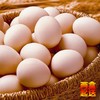 田园生态土鸡蛋（两盒起送） 商品缩略图3