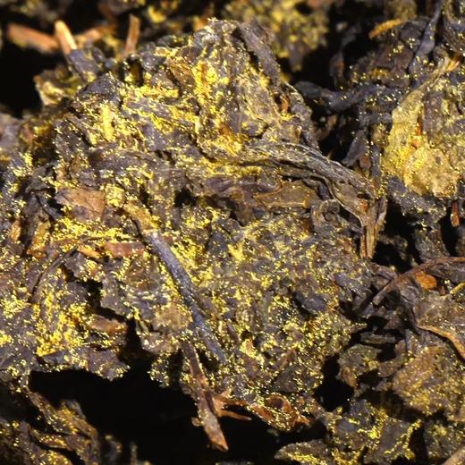 泾渭茯茶茶本良品800g茯砖茶2014年限量版 商品图3